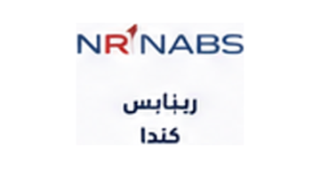 شريك نجاح 11